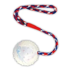 Hundespielzeug Gummiball Ø6cm Am Band Ball Spielball
