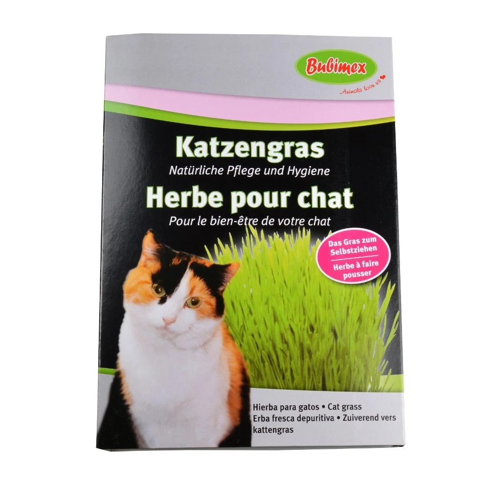 Katzengras Saat 100g 3 Katzengras Saat 100g