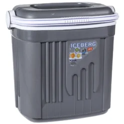 Kühlbox 20 Liter Aus Kunststoff In Grau Mit Tragegriff