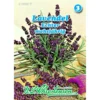 Saatgut Lavendel Echter Mehrjährig, Für Ca. 400 Pflanzen -Prosperplast Verkäufe 2Q0JmYaH4wT67fd 1280x1280