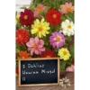 Blumenzwiebel Dahlia Unwinn Mixed -Prosperplast Verkäufe 2QE3usWaZqTsM0u 1280x1280