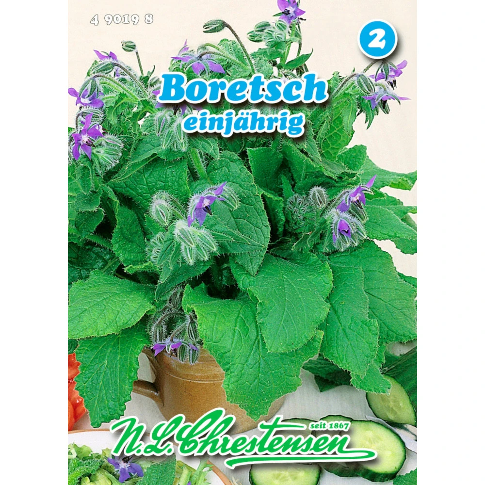 Saatgut Boretsch Gewürzkraut Einjährig 3 Saatgut Boretsch Gewürzkraut Einjährig