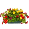 Sommerblumen-Balkonkasten T27 2 Sommerblumen-Balkonkasten T27 -Prosperplast Verkäufe 2Qnj2jpqeEpwEkE 1280x1280