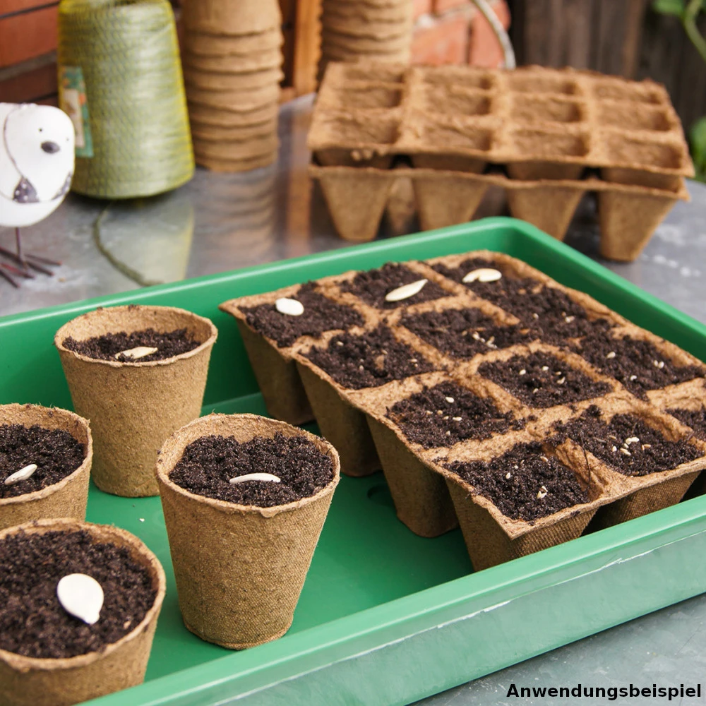 Anzuchtschale Aus Kunststoff Mit Belüftetem Deckel 4 Anzuchtschale Aus Kunststoff Mit Belüftetem Deckel – Bild 2