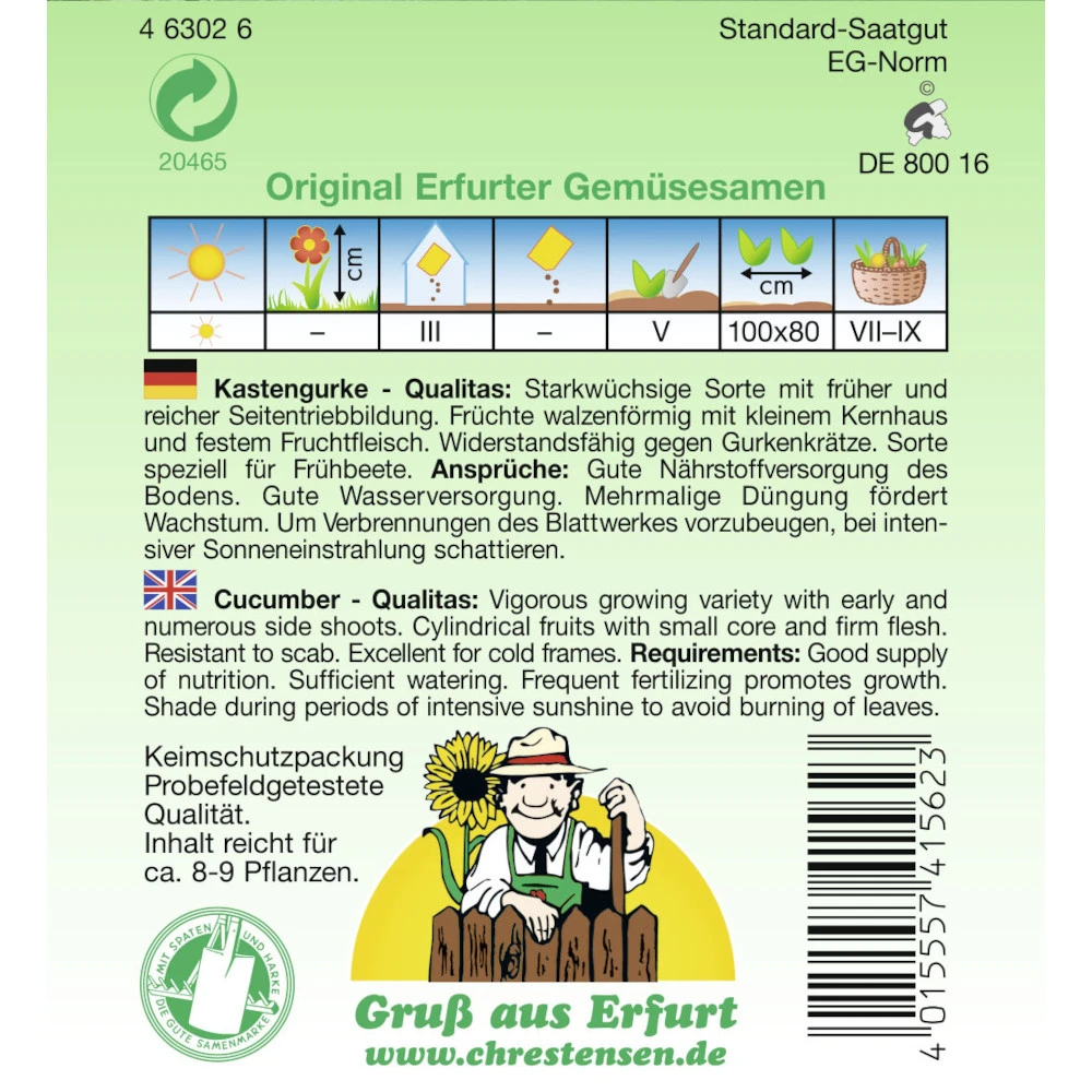 Saatgut Kastengurke Qualitas Starkwüchsig, Für Ca. 8 - 9 Pflanzen 4 Saatgut Kastengurke Qualitas Starkwüchsig, Für Ca. 8 - 9 Pflanzen – Bild 2