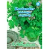 Saatgut Koriander Thüringer Gewürzkraut Einjährig Für Ca. 80 Pflanzen 2 Saatgut Koriander Thüringer Gewürzkraut Einjährig Für Ca. 80 Pflanzen -Prosperplast Verkäufe 9k00CTGhGefzi6t 1280x1280