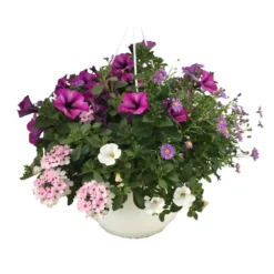 Sommerblumenampel XXL, In Verschiedenen Ausführungen 5 Sommerblumenampel XXL, In Verschiedenen Ausführungen -Prosperplast Verkäufe 9k8HUAamhRVbumY 1280x1280