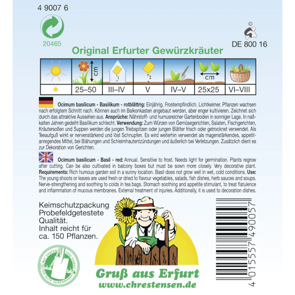 Saatgut Basilikum Rotblättrig Gewürzkraut Einjährig, Für Ca. 150 Pflanzen 4 Saatgut Basilikum Rotblättrig Gewürzkraut Einjährig, Für Ca. 150 Pflanzen – Bild 2