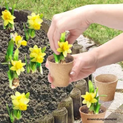 Anzuchttöpfe 6 X 6 Cm Rund, 24 Stück, Papier 5 Anzuchttöpfe 6 X 6 Cm Rund, 24 Stück, Papier -Prosperplast Verkäufe 9kBAkSu3KOe7r64 1280x1280