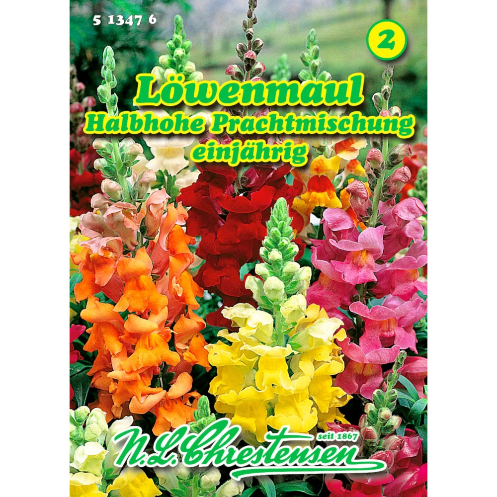 Saatgut Löwenmaul Halbhohe Prachtmischung, Reicht Für Ca. 200 Pflanzen 3 Saatgut Löwenmaul Halbhohe Prachtmischung, Reicht Für Ca. 200 Pflanzen