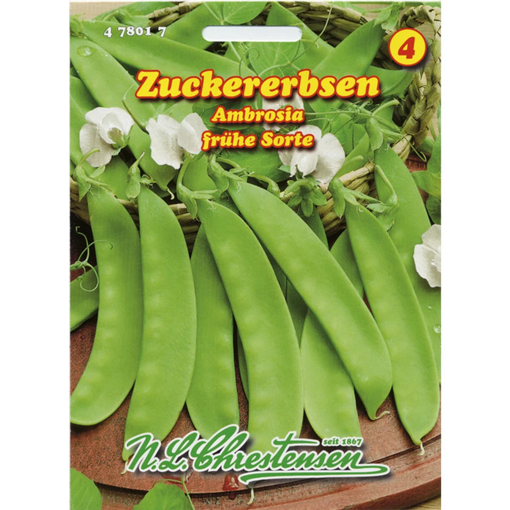 Saatgut Zuckererbse Ambrosia 3 Saatgut Zuckererbse Ambrosia