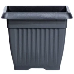 Prosperplast Blumentopf Terra Eckig 15 X 15 Cm In Anthrazit