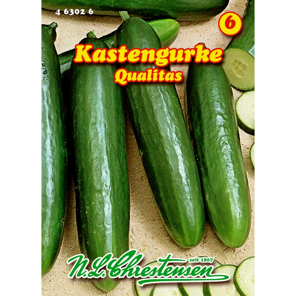 Saatgut Kastengurke Qualitas Starkwüchsig, Für Ca. 8 - 9 Pflanzen 3 Saatgut Kastengurke Qualitas Starkwüchsig, Für Ca. 8 - 9 Pflanzen