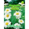 Saatgut Margerite Frühling Mehrjährig -Prosperplast Verkäufe 9kVCC8WrMy0h1Eb 1280x1280