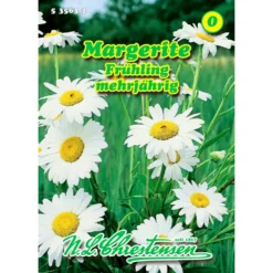 Saatgut Margerite Frühling Mehrjährig