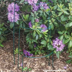 Strauchstütze 35 X 40 Cm, Metalldraht, Grün 7 Strauchstütze 35 X 40 Cm, Metalldraht, Grün -Prosperplast Verkäufe 9keQ4eI6nD8IMdw 1280x1280 1