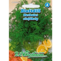 Saatgut Blattdill Herkules Würzig Für Ca. 3- 4 Laufende Meter