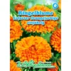 Saatgut Ringelblume Erfurter Orangefarbige Einjährig Für Ca. 80 Pflanzen 1 Saatgut Ringelblume Erfurter Orangefarbige Einjährig Für Ca. 80 Pflanzen -Prosperplast Verkäufe 9kxJn7WOmBxYwey 1280x1280