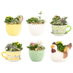 Ostergefäß Aus Kermik Mit Blumen Bepflanzt