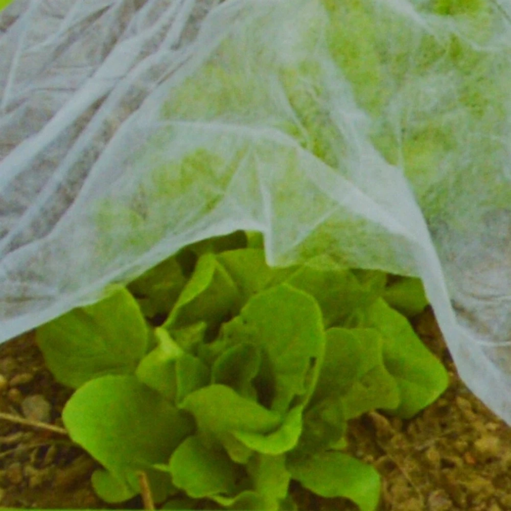 Gartenvlies 10x1,5m 17g/m² 3 Gartenvlies 10x1,5m 17g/m²