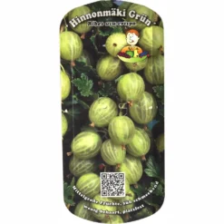 Beerenobst Im Sortiment 10 Beerenobst Im Sortiment -Prosperplast Verkäufe Z7JnLdzjTH7ImS 1280x1280