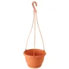 Prosperplast Hängeampel Agro Ø 24 Cm In Terracotta 1 Prosperplast Hängeampel Agro Ø 24 Cm In Terracotta -Prosperplast Verkäufe ZArUhB5sMUVgZ4 1280x1280