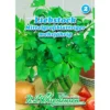 Saatgut Liebstock Mittelgroßblättriger Gewürzkraut Mehrjährig, Für Ca. 2 M² -Prosperplast Verkäufe ZBD49PJxHMuUx3 1280x1280