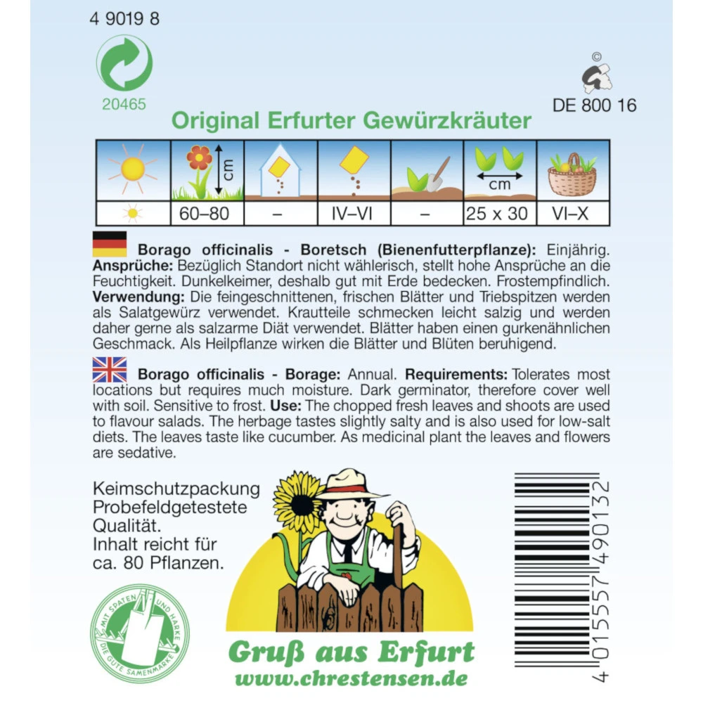 Saatgut Boretsch Gewürzkraut Einjährig 4 Saatgut Boretsch Gewürzkraut Einjährig – Bild 2