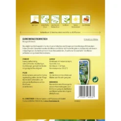 Saatgut Gurkenkraut Borretsch Für Ca. 80 Pflanzen -Prosperplast Verkäufe ZENkbjlyLU7rBR 1280x1280