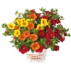 Confetti Garden Trio Sommerblumen Mix Mit Blumentopf 12 Cm -Prosperplast Verkäufe ZHtseYTqVvztmz 1280x1280