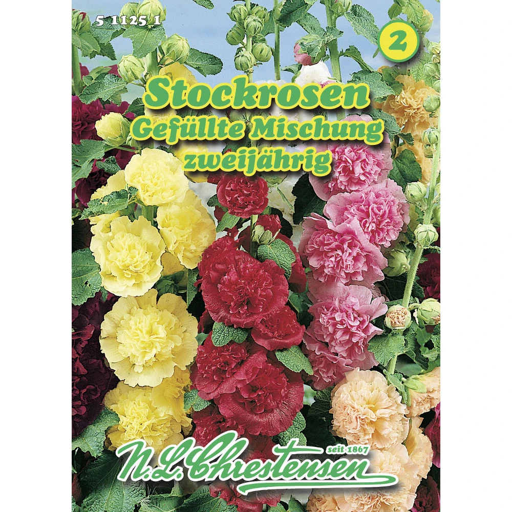 Saatgut Stockrosen Gefüllte Mischung Starkwachsend Und Dekorativ 3 Saatgut Stockrosen Gefüllte Mischung Starkwachsend Und Dekorativ