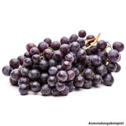 Vitis Vinivera Im Blumentopf -Prosperplast Verkäufe ZUPkZDJZggwKVT 1280x1280