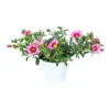 Calibrachoa Im Blumentopf Ø 11 Cm -Prosperplast Verkäufe ZWSA9I7mTxwY2w 1280x1280